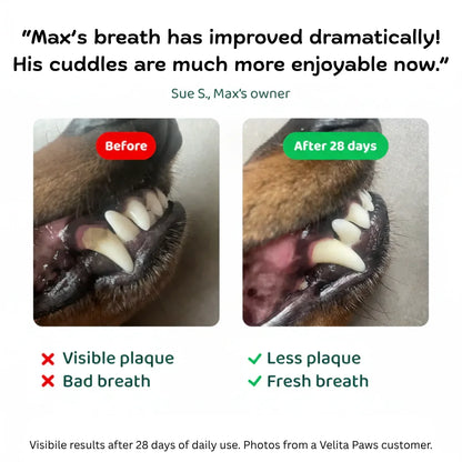 Before and after dog dental care photos showing plaque reduction and improved breath in 28 days