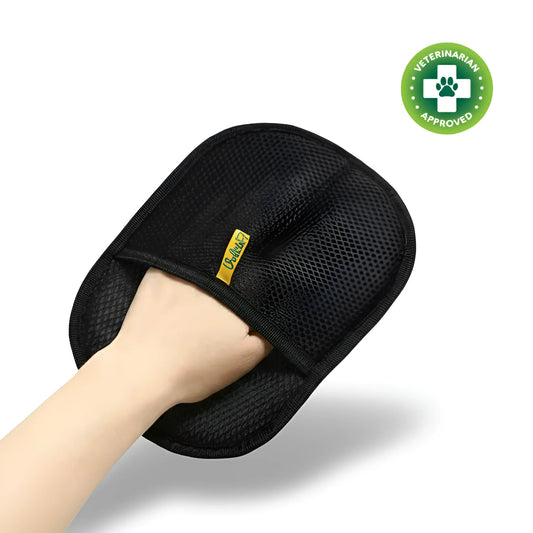 SoftTouch Grooming Brush