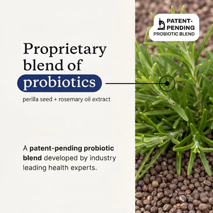 Proprietary blend of probiotics with perilla seed and rosemary oil extract, patent-pending probiotic blend