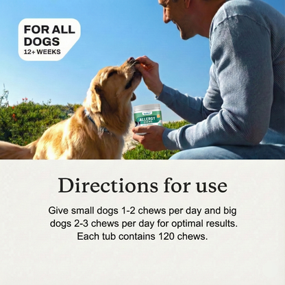 Probiotics for Dogs - Gut Health