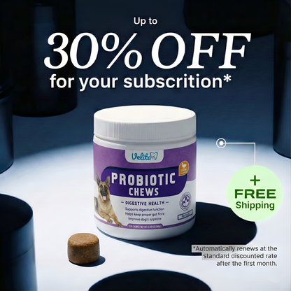Probiotics for Dogs - Gut Health