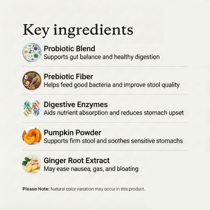 Probiotics for Dogs - Gut Health