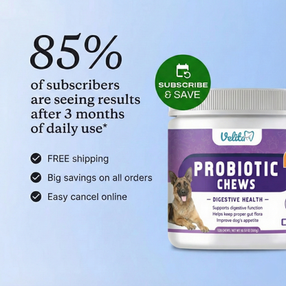 Probiotics for Dogs - Gut Health