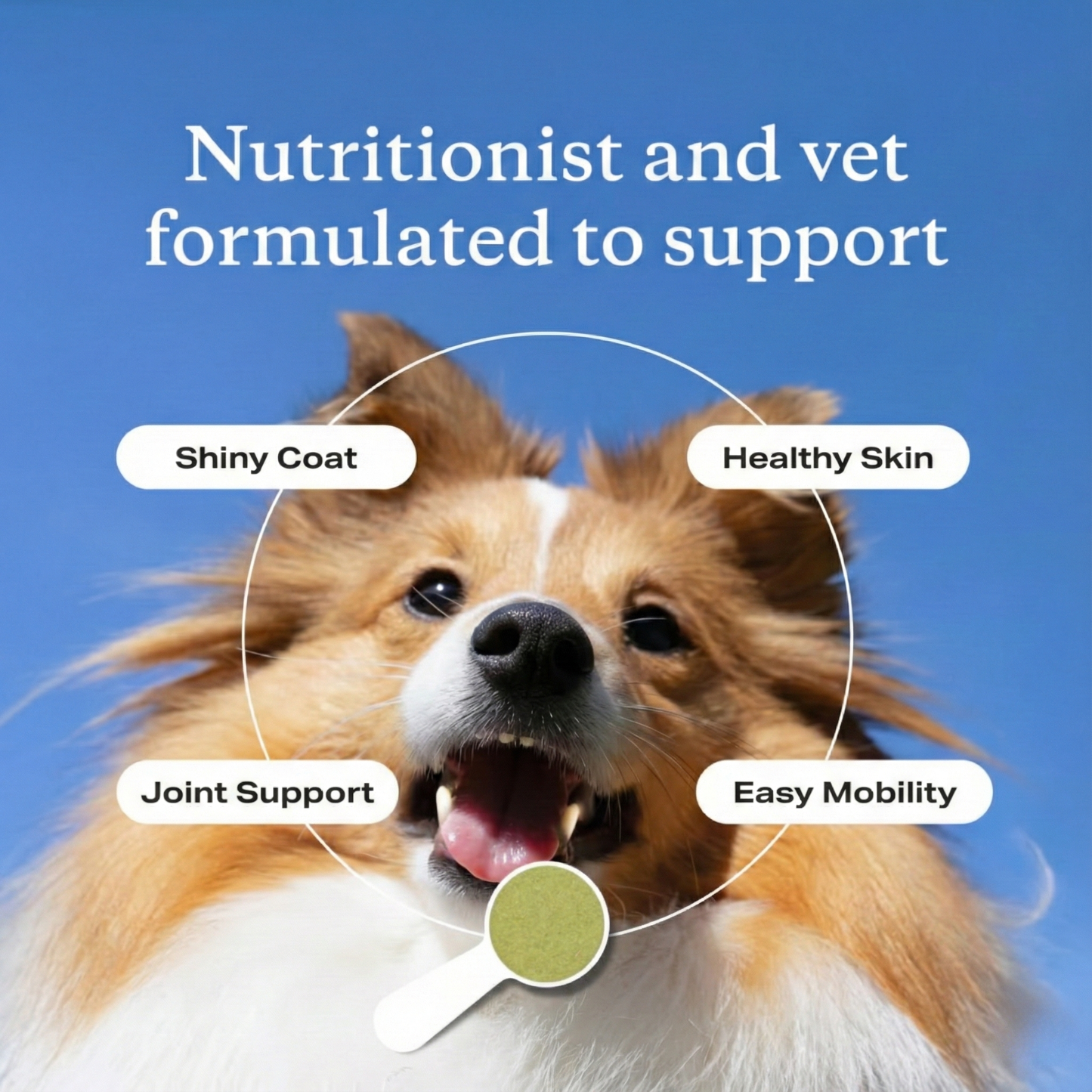 Advanced Skin & Joint Care Powder